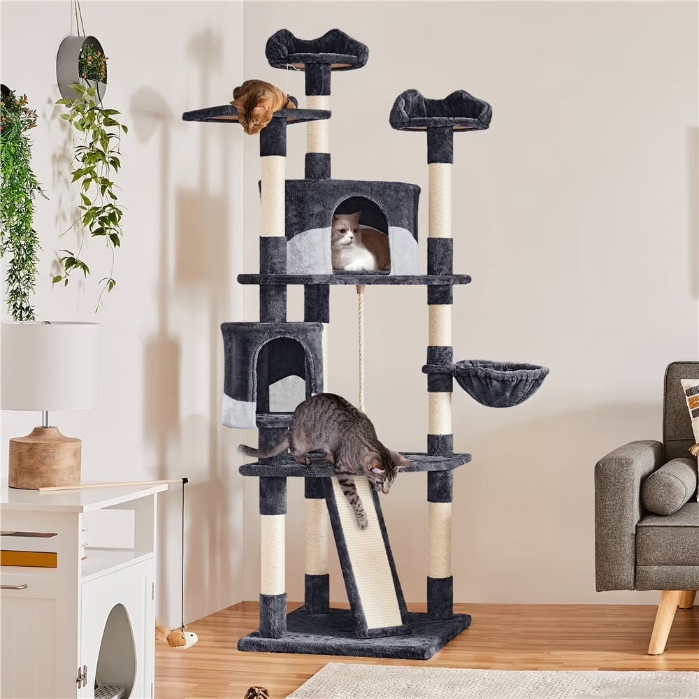 79&