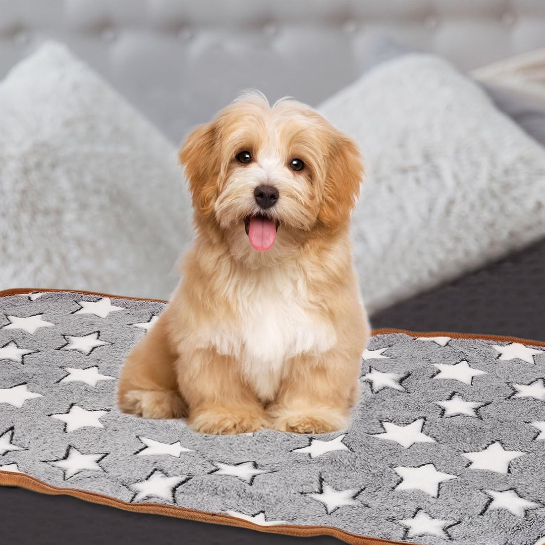 Pet Blanket, Medium Soft Fluffy Flannel Star Printed Throw Blanket, Scratch Proof Furniture Protector Cover 16X24 Inches, (Gray, 1 Pack 3), Intended for Dog/Cat