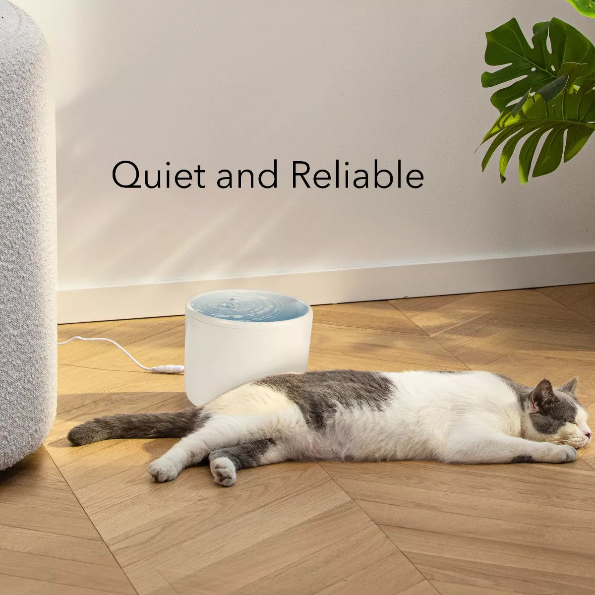 HOM Pet Water Fountain - 2L Automatic Cat Water Fountain, Dog Water Dispenser with Filtration System, for Cats and Dogs