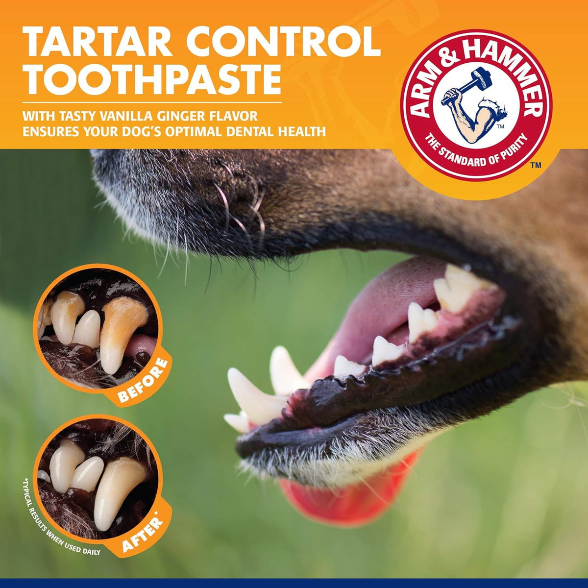 Tartar Control Puppy Dental Training Kit, Vanilla Ginger, 3 Pc
