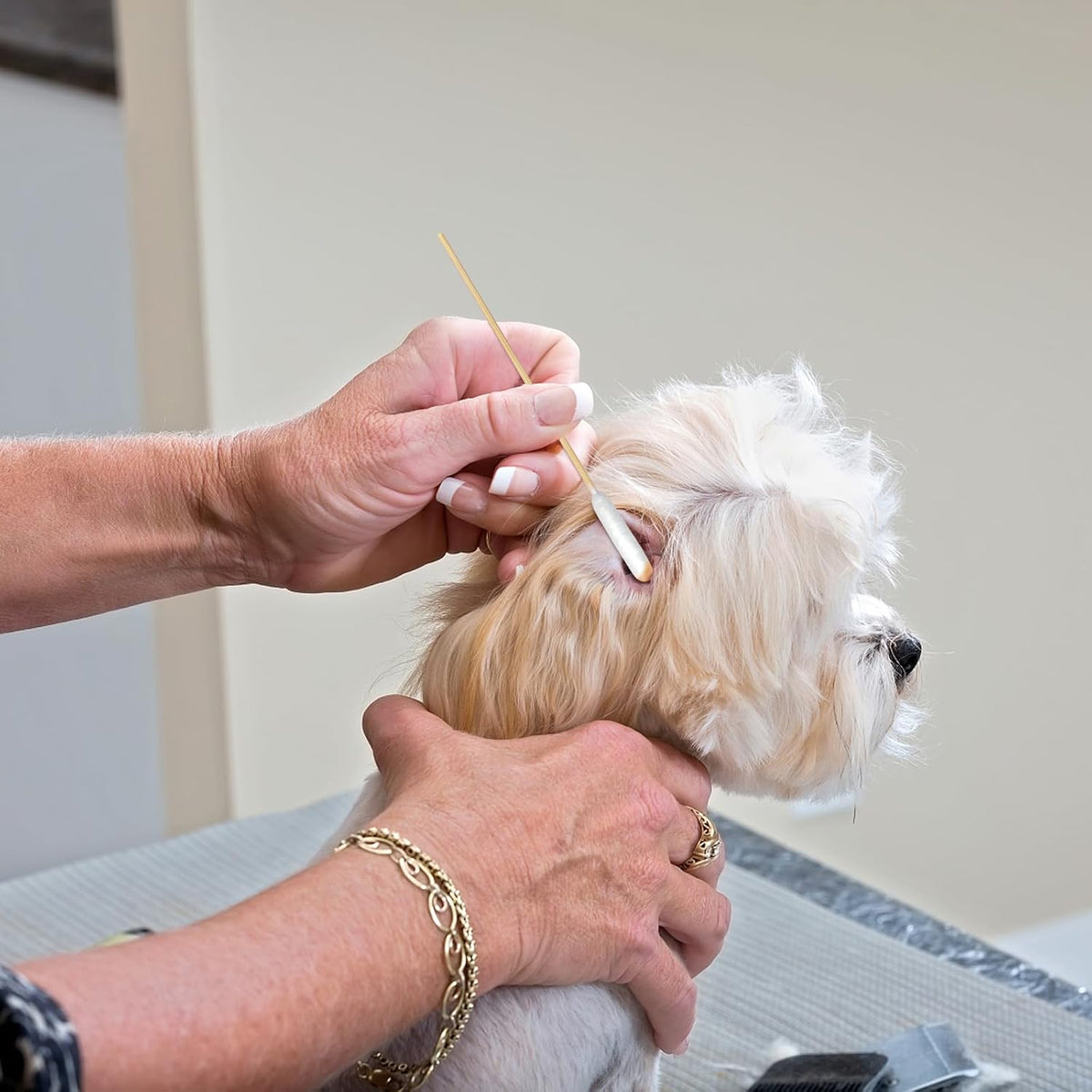 Extra Long Cotton Swabs for Dog Ear Cleaning, FSC Bamboo Sticks