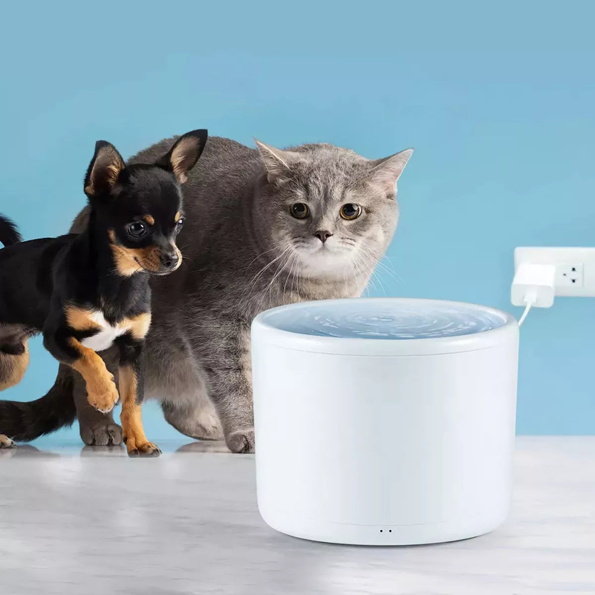 HOM Pet Water Fountain - 2L Automatic Cat Water Fountain, Dog Water Dispenser with Filtration System, for Cats and Dogs