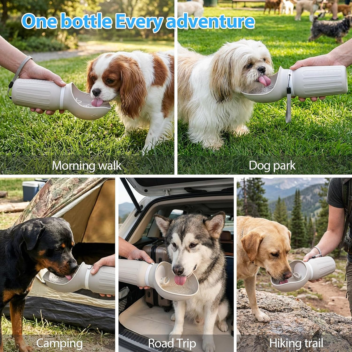 Portable Dog Water Bottle, Leak Proof Collapsible Water Bottles Lightweight Dog Water Bottle Suitable for Pets Outdoor Walking, Hiking, Travel, Camping (Gray, 20.9, Ounces)