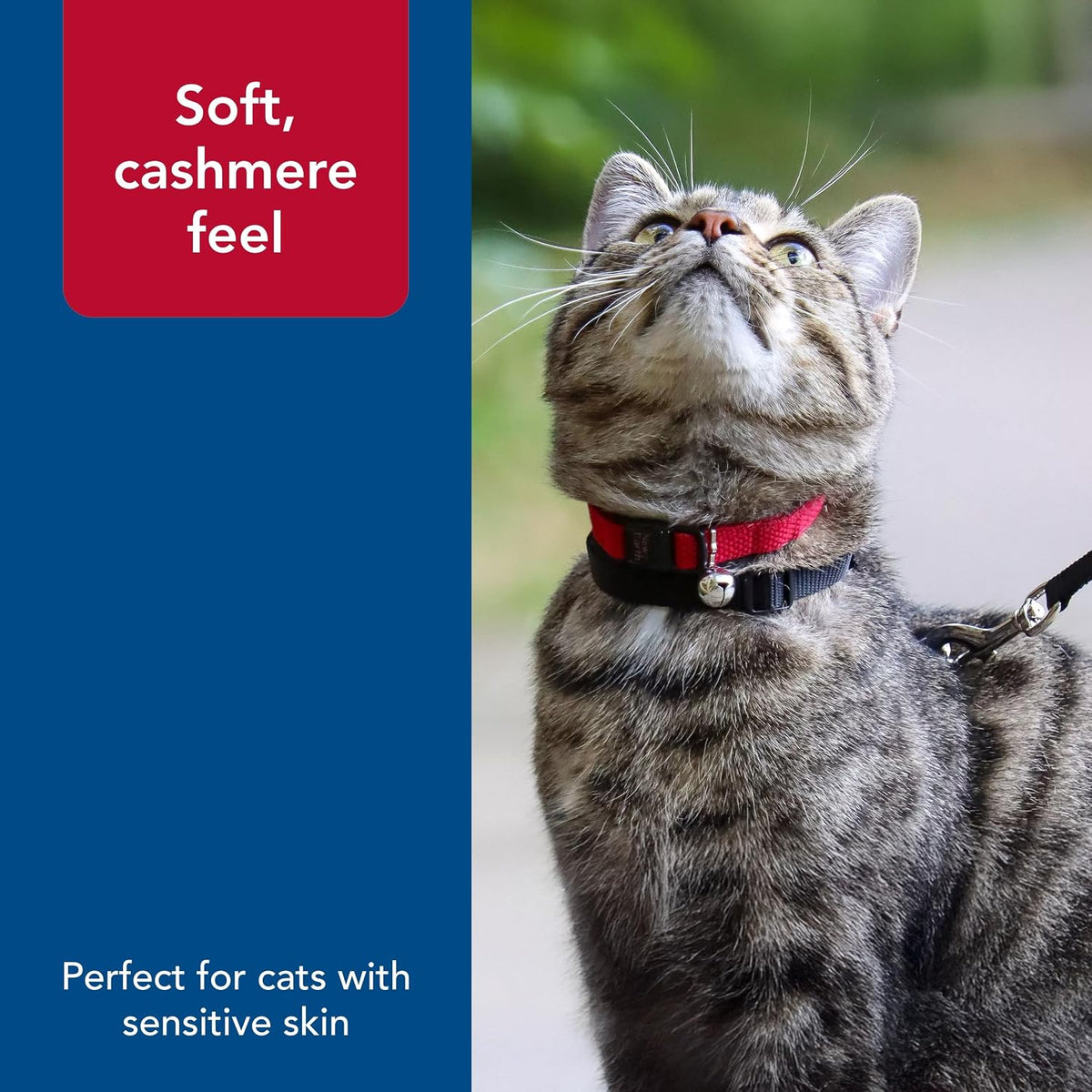 Pet New Earth Soy Adjustable Breakaway Cat Collar - Eco-Friendly, Odor-Resistant and Adjustable Cat Collar, Rose, 3/8" X 08"-12"