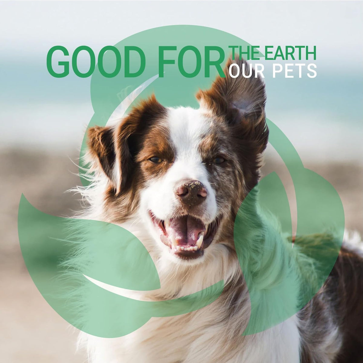 Green Groom Complete Coat Dog Conditioner, 1 Gallon, Detangler, Coconut Oil