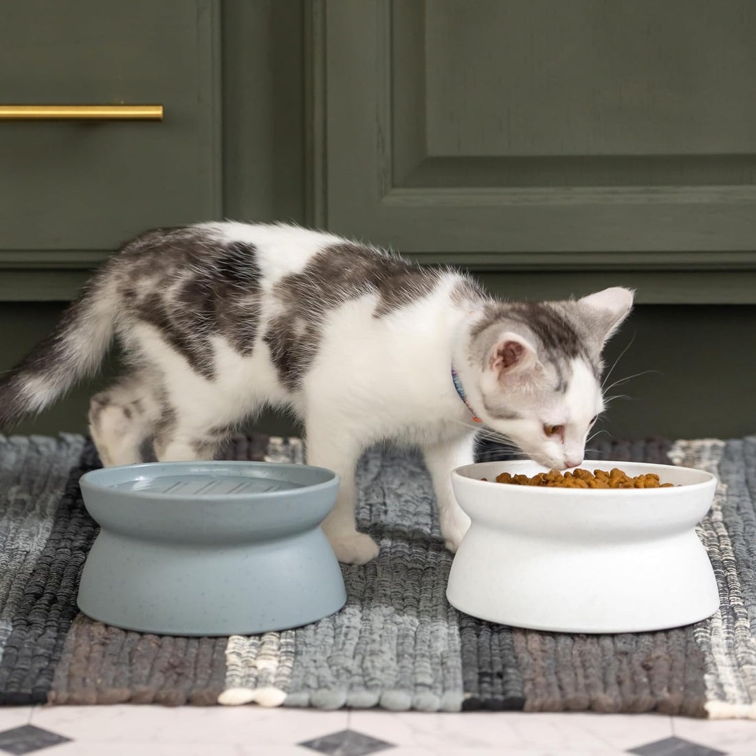 Elevated Slow Feeder Cat Bowls (Set of 2), Whisker-Friendly Raised Cat Food Dishes with Ridges, Helps Reduce Fast Eating & Digestion Issues, Dishwasher Safe, 6.5 Oz – White & Gray