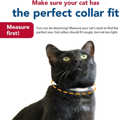 Pet New Earth Soy Adjustable Breakaway Cat Collar - Eco-Friendly, Odor-Resistant and Adjustable Cat Collar, Rose, 3/8" X 08"-12"