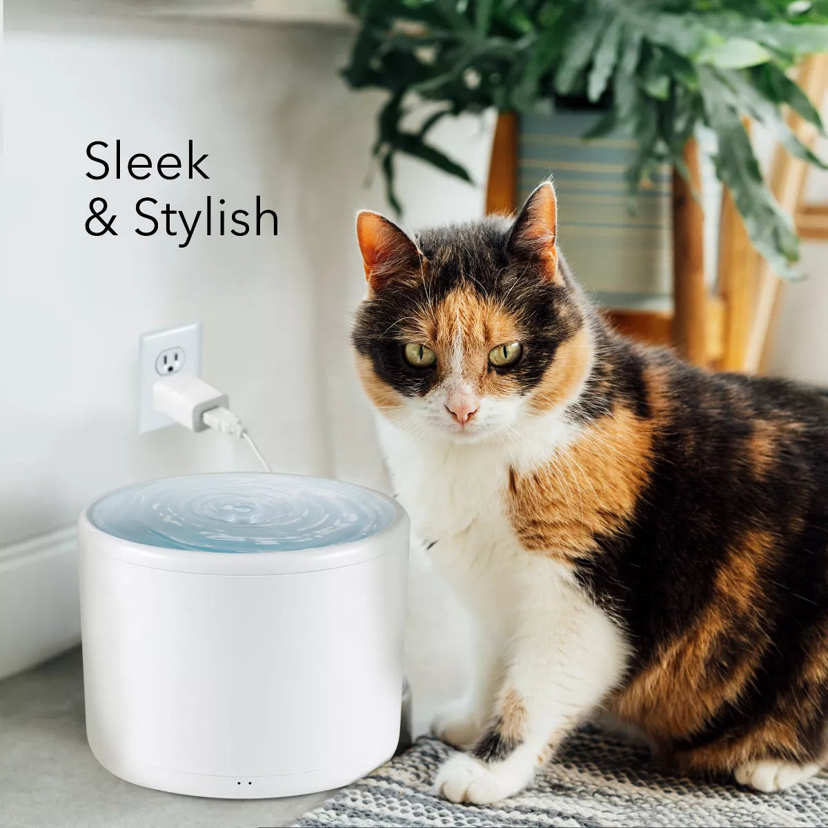 HOM Pet Water Fountain - 2L Automatic Cat Water Fountain, Dog Water Dispenser with Filtration System, for Cats and Dogs