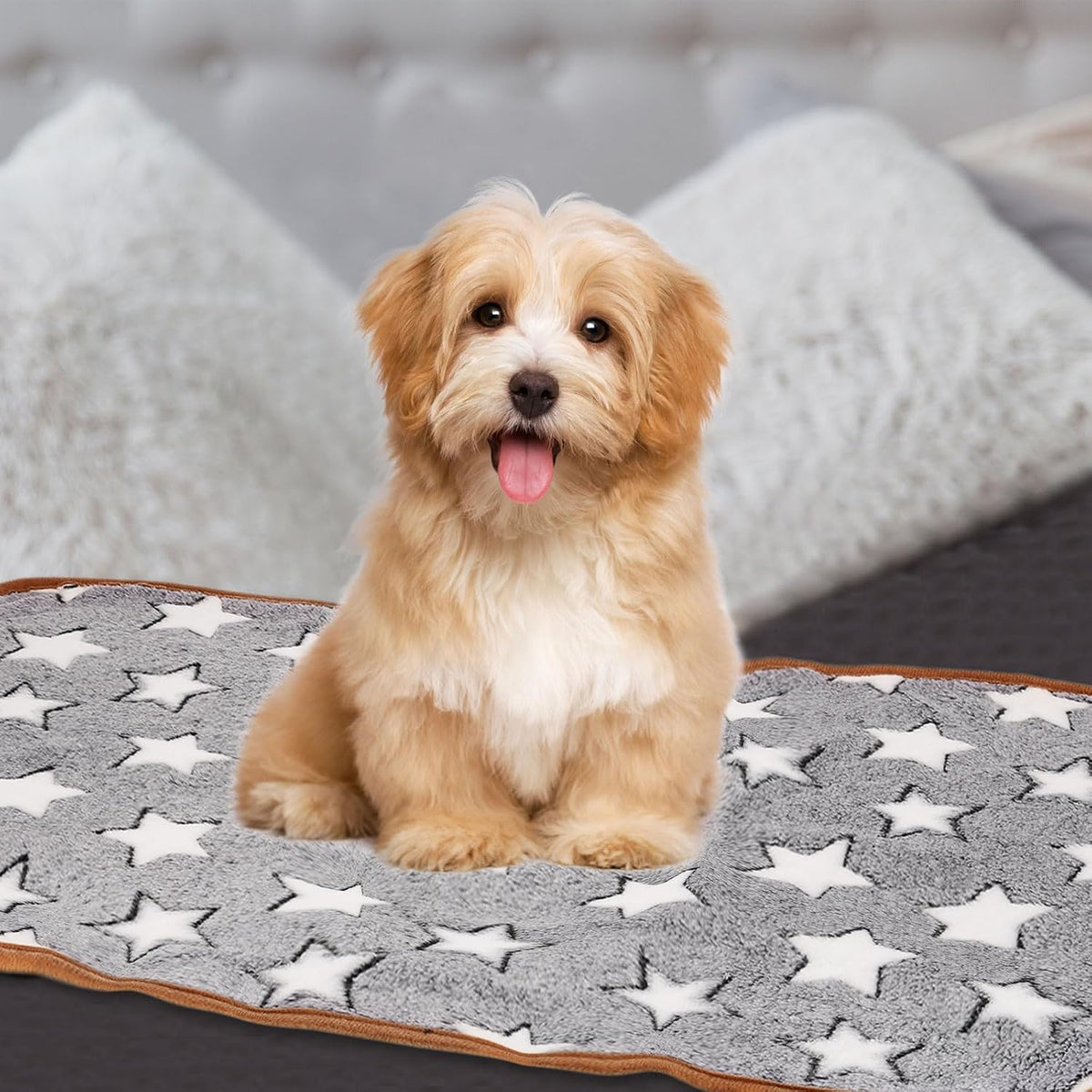 Pet Blanket, Medium Soft Fluffy Flannel Star Printed Throw Blanket, Scratch Proof Furniture Protector Cover 16X24 Inches, (Gray, 1 Pack 3), Intended for Dog/Cat