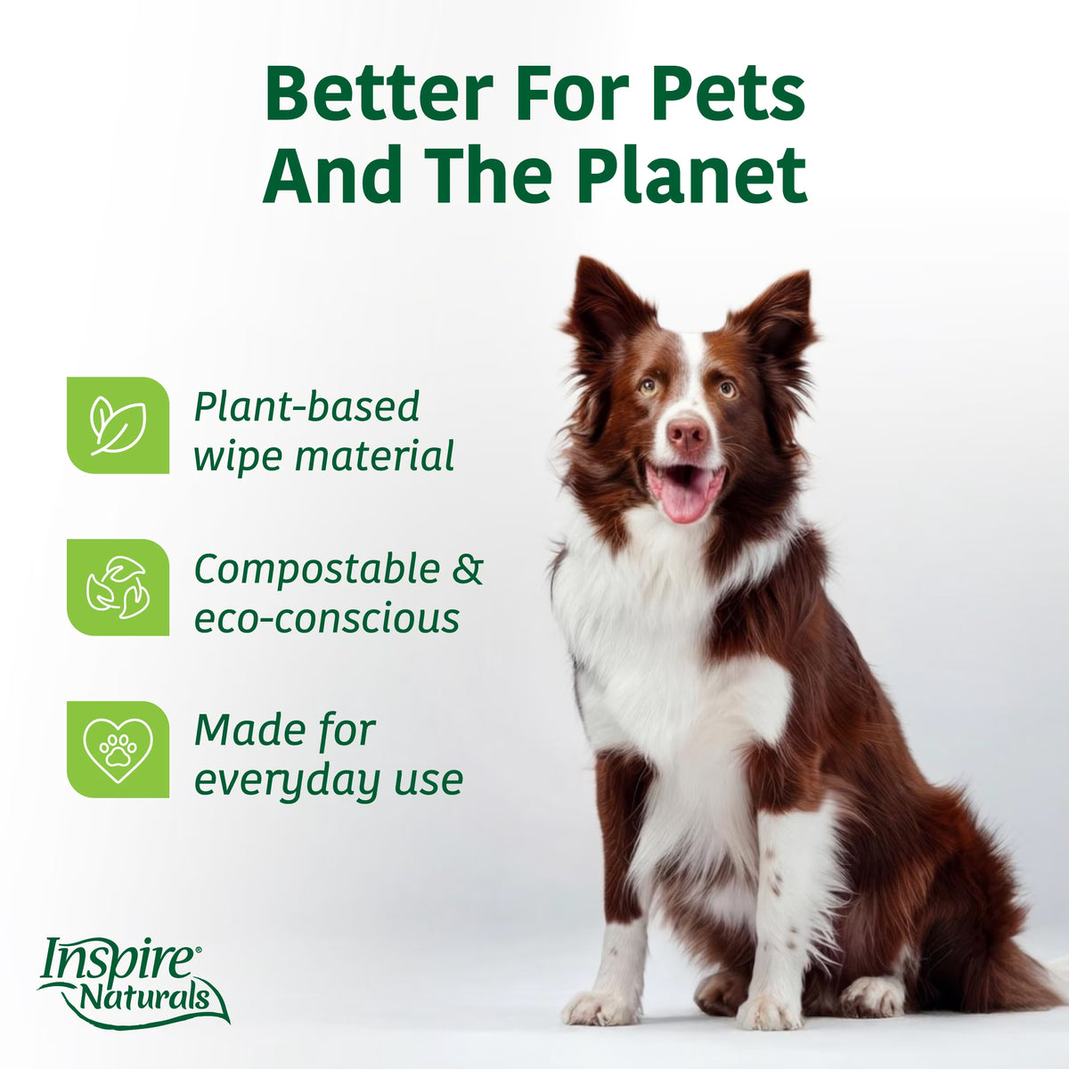 Pet Wipes for Dogs and Cats, Deodorizing Dog Wipes for Paws and Butt (50 Count)