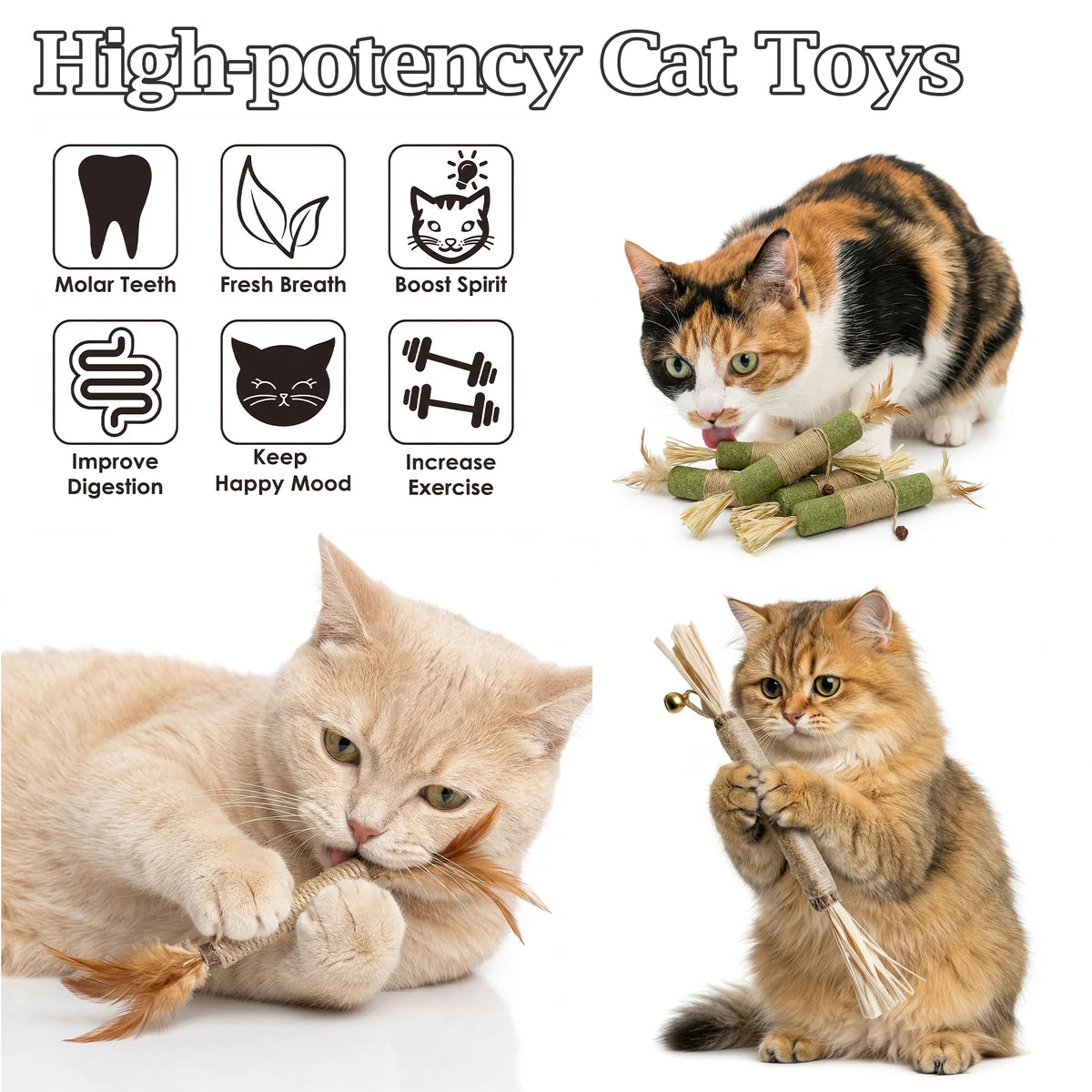 Cat Chew Toys, 12PCS Chew Rope &amp; Silvervine Sticks for Bored Indoor Adult Cats, Interactive Catnip Toys for Cats for Teeth Cleaning