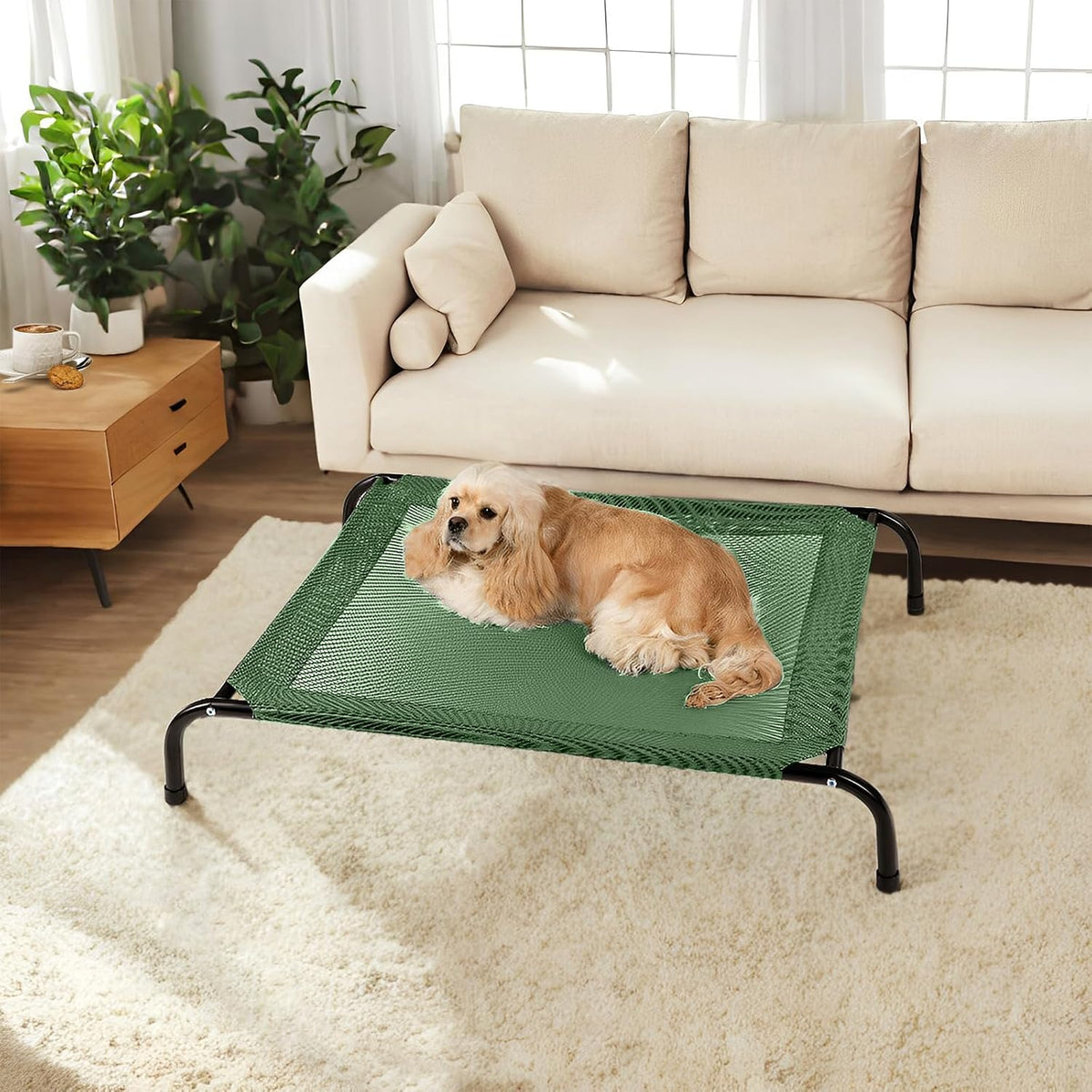 Cooling Elevated Dog Bed with Non-Slip Floor Protectors &amp; Breathable Mesh, Raised Indoor &amp; Outdoor Dog Cot Hammock, 41" L X 26" W X 8" Th, Medium, Green