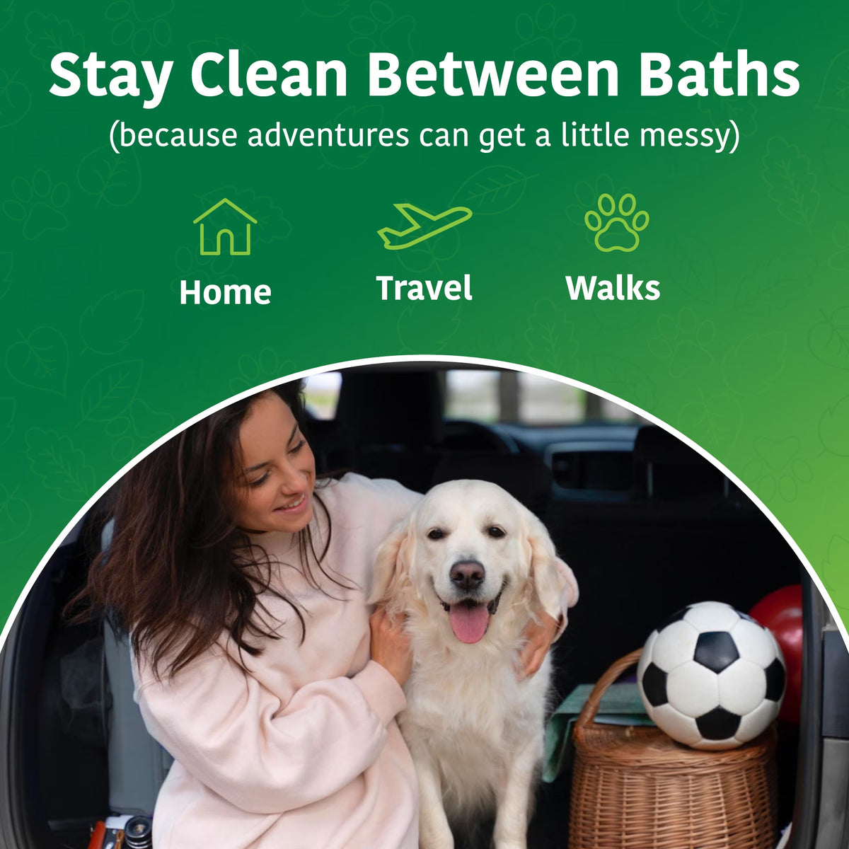 Pet Wipes for Dogs and Cats, Deodorizing Dog Wipes for Paws and Butt (50 Count)
