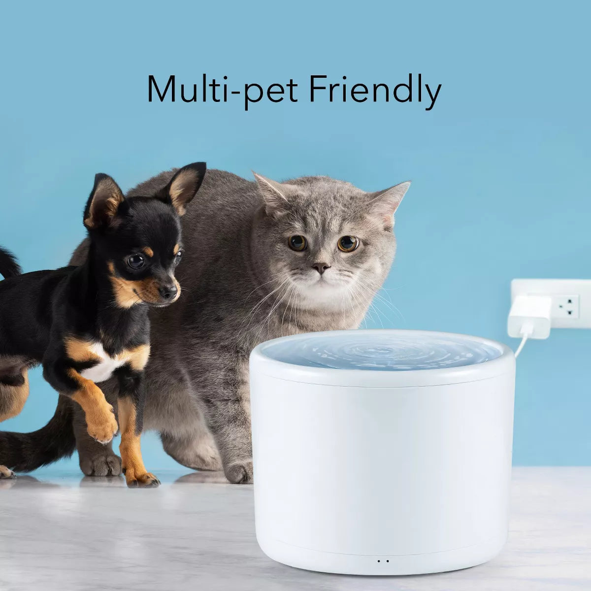 HOM Pet Water Fountain - 2L Automatic Cat Water Fountain, Dog Water Dispenser with Filtration System, for Cats and Dogs
