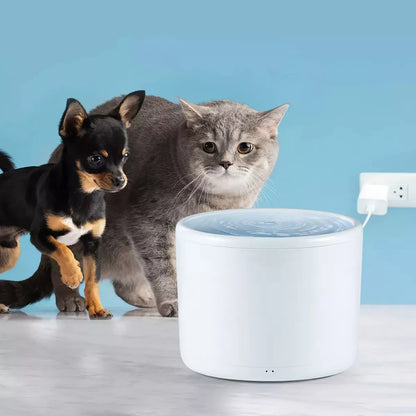 HOM Pet Water Fountain - 2L Automatic Cat Water Fountain, Dog Water Dispenser with Filtration System, for Cats and Dogs