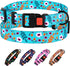 Nylon Dog Collar Floral Pattern Aquamarine 12-16 Inch
