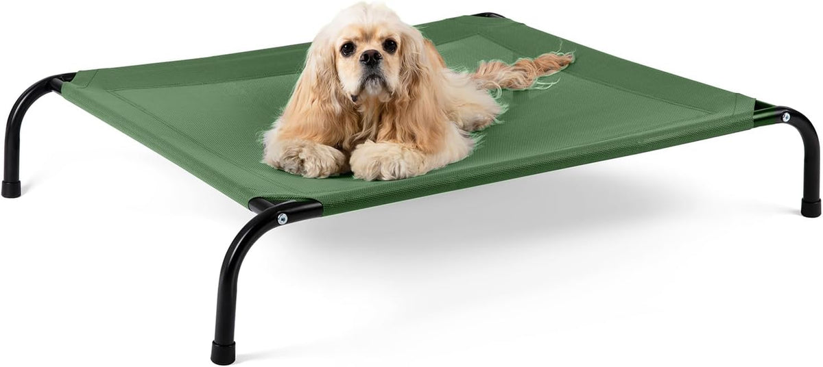 Cooling Elevated Dog Bed with Non-Slip Floor Protectors &amp; Breathable Mesh, Raised Indoor &amp; Outdoor Dog Cot Hammock, 41" L X 26" W X 8" Th, Medium, Green