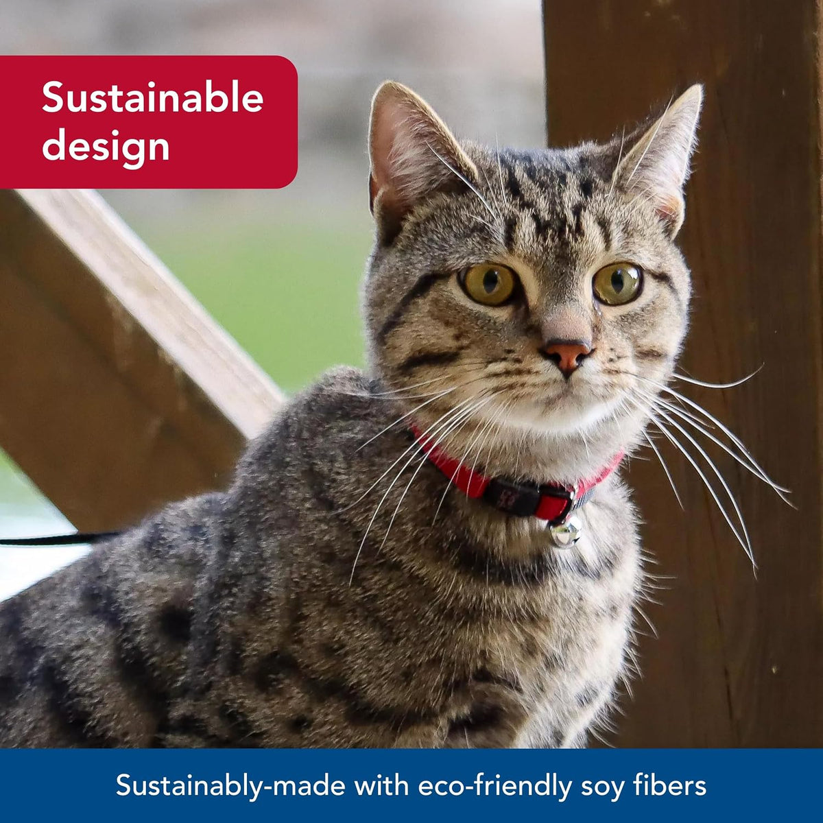 Pet New Earth Soy Adjustable Breakaway Cat Collar - Eco-Friendly, Odor-Resistant and Adjustable Cat Collar, Rose, 3/8" X 08"-12"