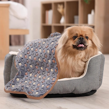 Pet Blanket, Medium Soft Fluffy Flannel Star Printed Throw Blanket, Scratch Proof Furniture Protector Cover 16X24 Inches, (Gray, 1 Pack 3), Intended for Dog/Cat