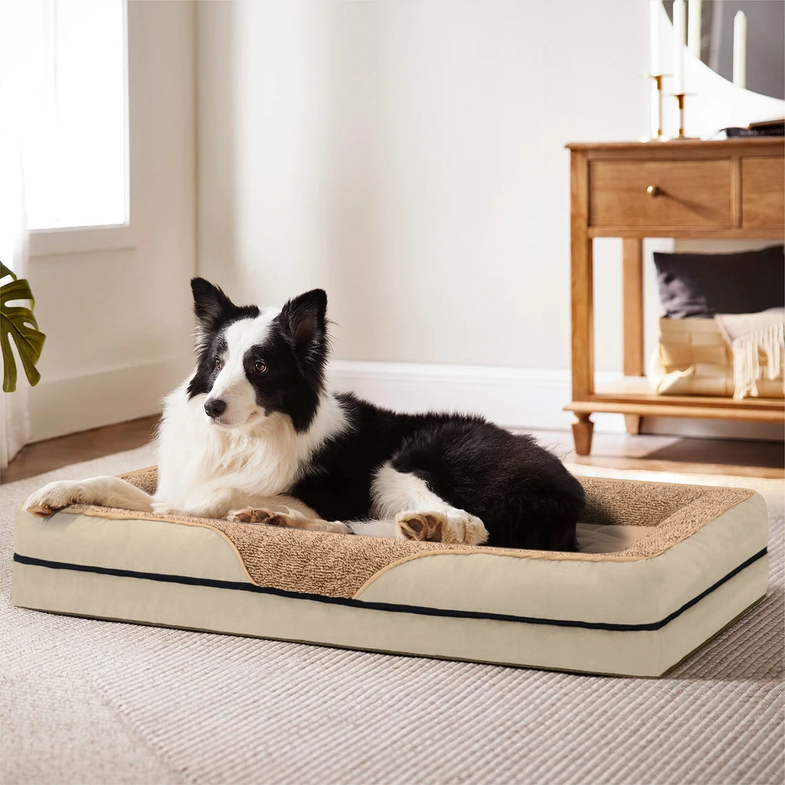 Dog Beds for Large Medium Small Dogs Orthopedic Pet Bed Sofa Supportive Egg Crate Foam Animal Couch with Removable Washable Cover Non Skid Bottom S to XL