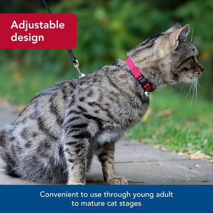 Pet New Earth Soy Adjustable Breakaway Cat Collar - Eco-Friendly, Odor-Resistant and Adjustable Cat Collar, Rose, 3/8" X 08"-12"